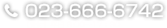 023-666-6742